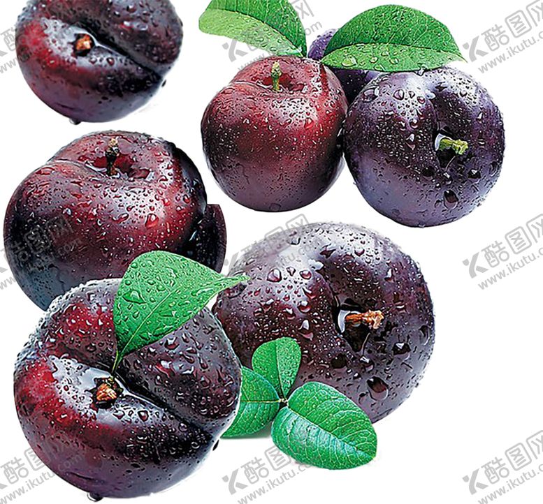 编号：46797110040510473433【酷图网】源文件下载-水果