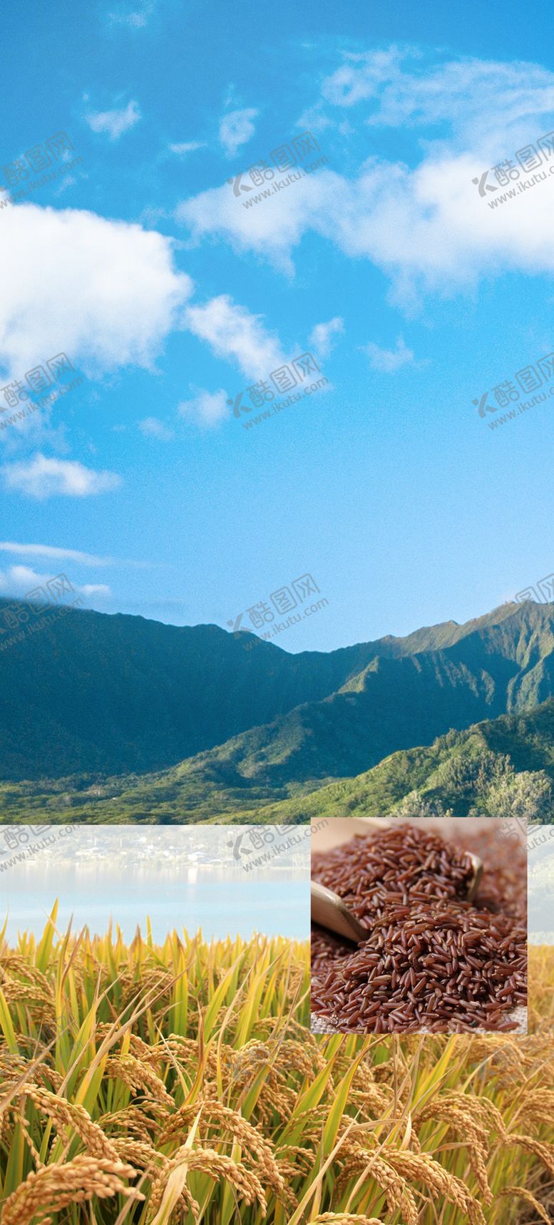 编号：12348811012147556608【酷图网】源文件下载-水稻天空