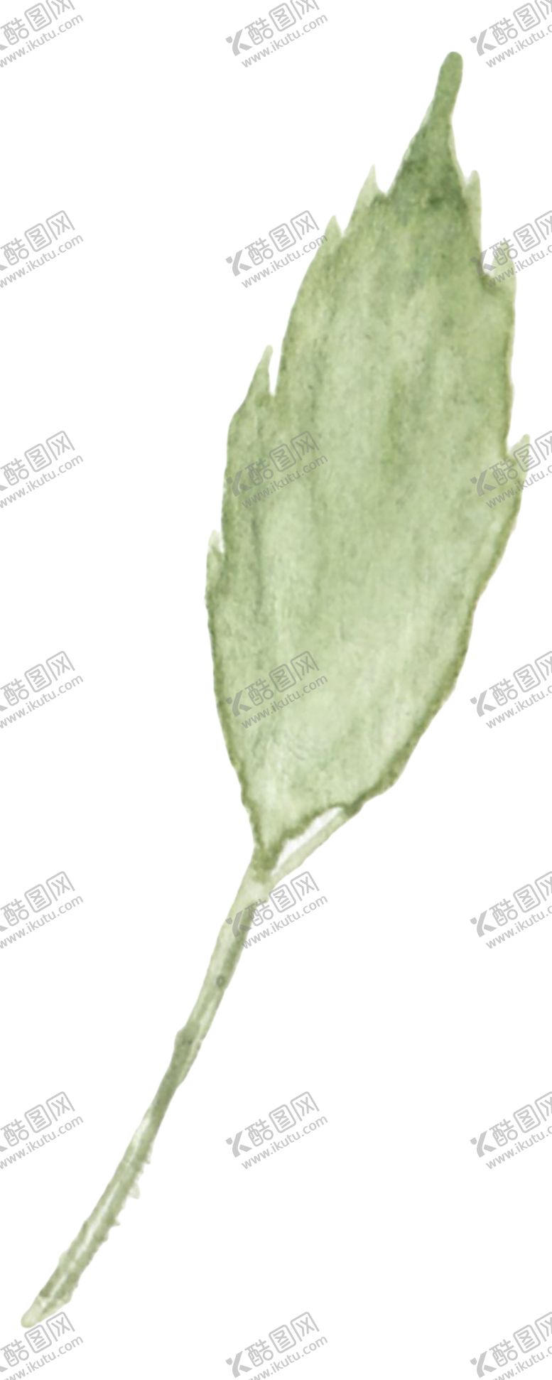 编号：98085401141907299682【酷图网】源文件下载-手绘树叶