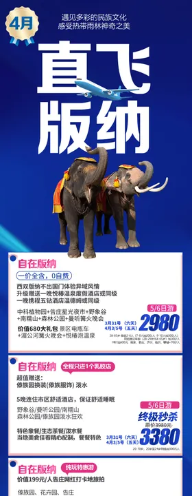 版纳产品合集长图海报