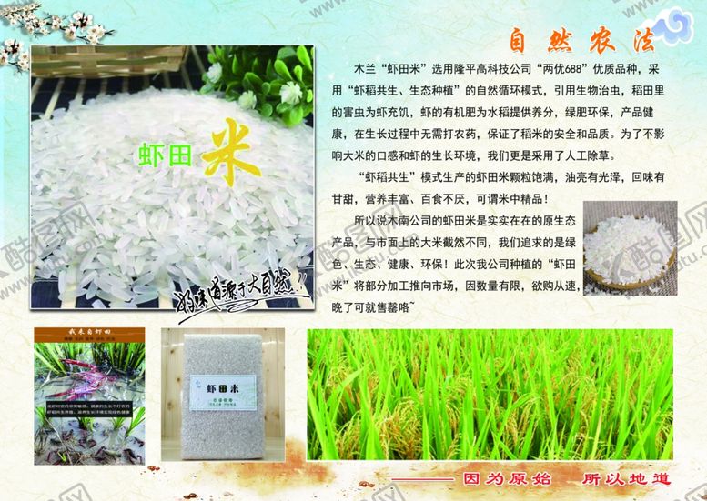 编号：54935606290449331830【酷图网】源文件下载-大米