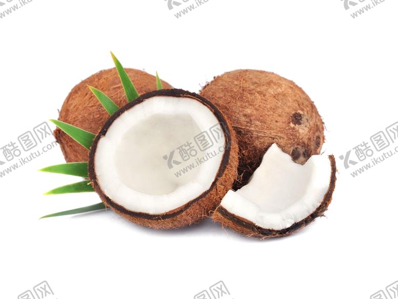 编号：80081809130110594269【酷图网】源文件下载-椰子