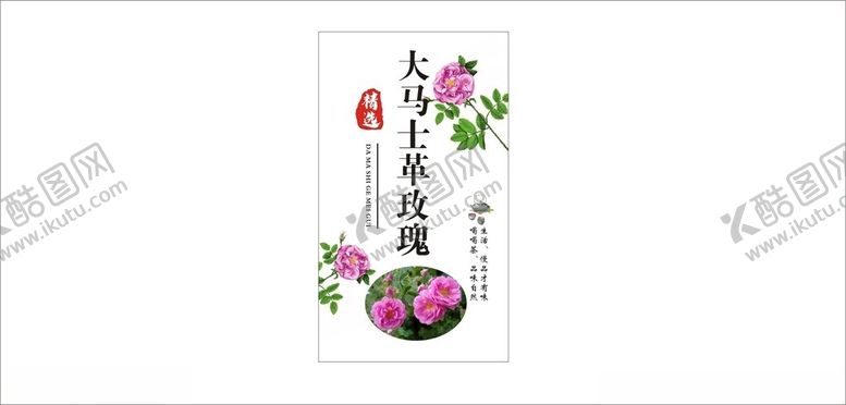 编号：21244001202002386367【酷图网】源文件下载-茶叶标签