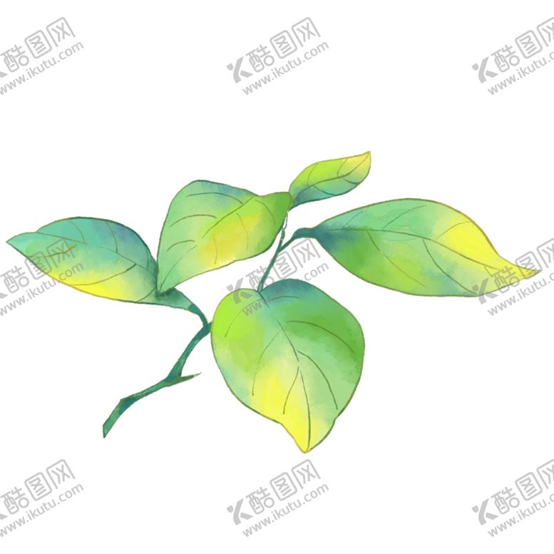 编号：85097209241354239609【酷图网】源文件下载-树叶