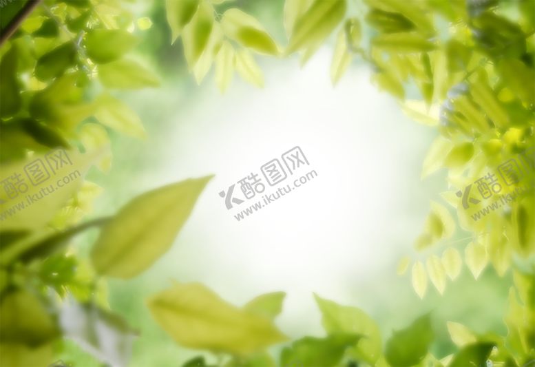 编号：73948710301908335520【酷图网】源文件下载-绿色背景