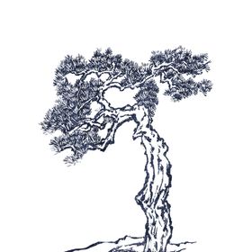 水墨中国风迎客松