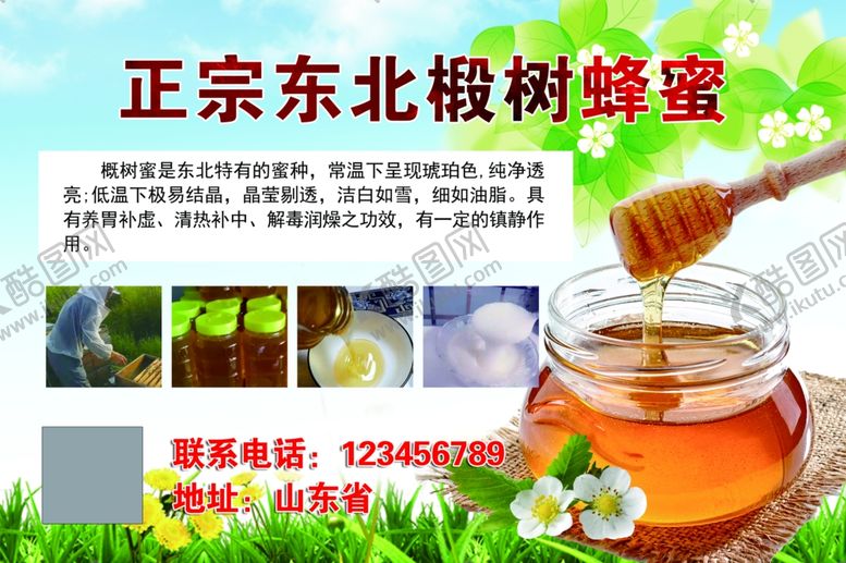 编号：29151503070304349774【酷图网】源文件下载-正宗蜂蜜