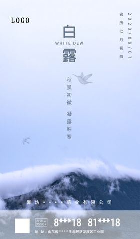 白露珠雨水活动