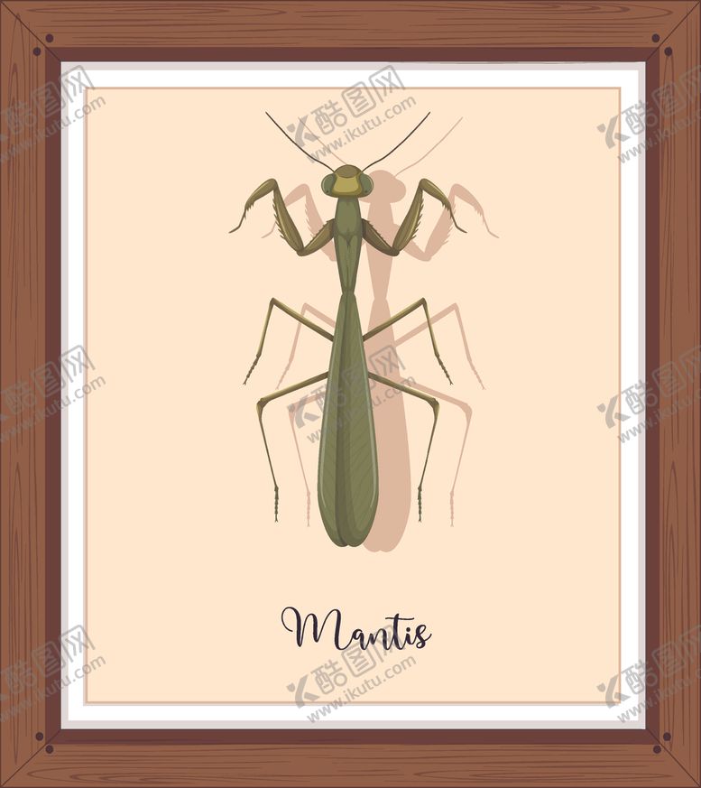 编号：70045310111335295724【酷图网】源文件下载-卡通昆虫