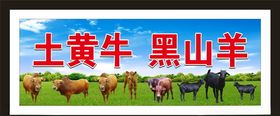 黑山羊土黄牛