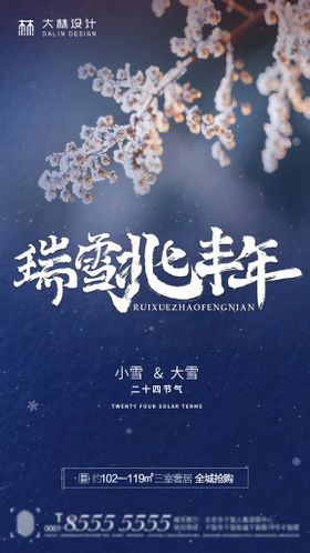 大雪小雪节气海报