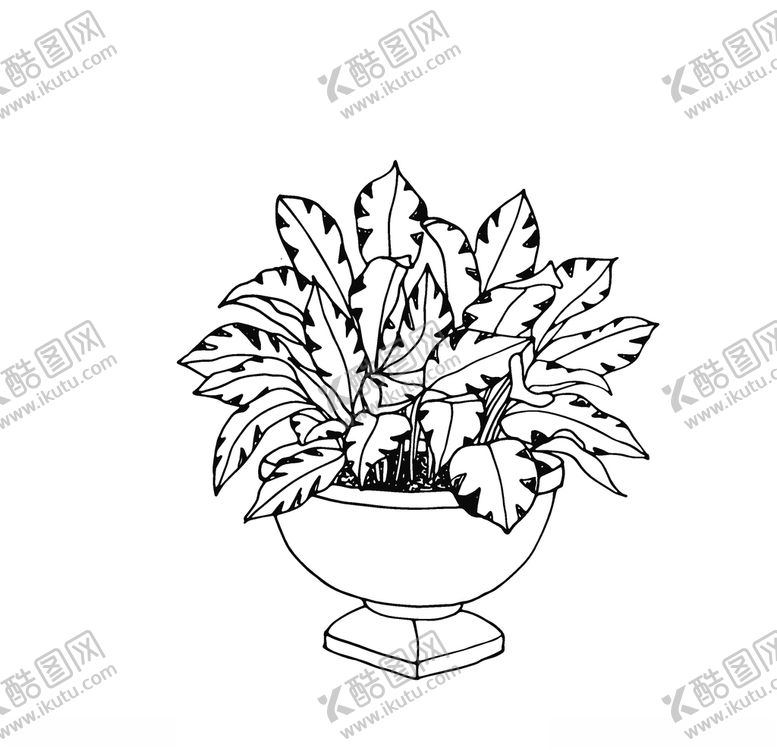 编号：64607709252017582349【酷图网】源文件下载-植物线稿