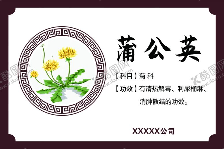编号：17031805080841473908【酷图网】源文件下载-蒲公英功效蒲公英药效