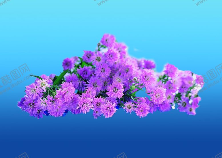 编号：68318110311048524131【酷图网】源文件下载-花艺