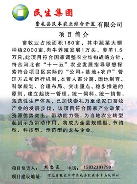 畜牧业宣传奶牛养牛场