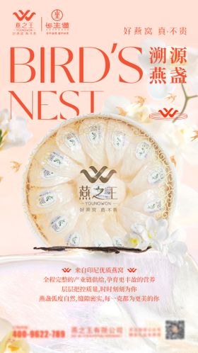 即食燕窝宣传海报
