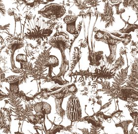 蓝白海洋生物图案纹理