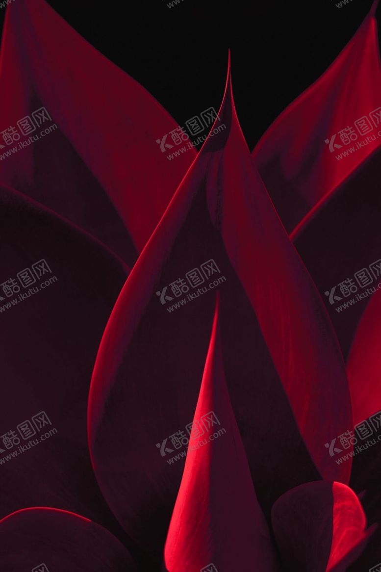编号：13931704190317182691【酷图网】源文件下载-红色背景