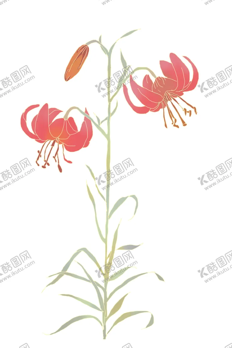 编号：35459312100018025723【酷图网】源文件下载-彼岸花