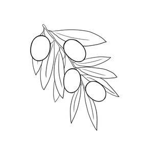 橄榄