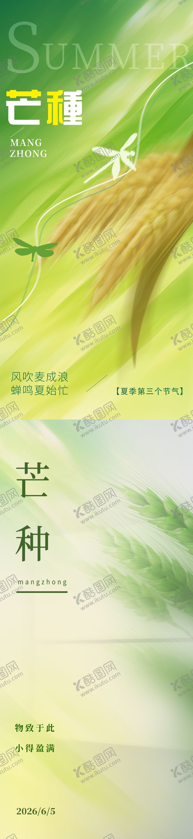 编号：25908105312350353352【酷图网】源文件下载-二十四节气芒种海报