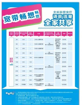 移动公司套餐资费说明海报单页