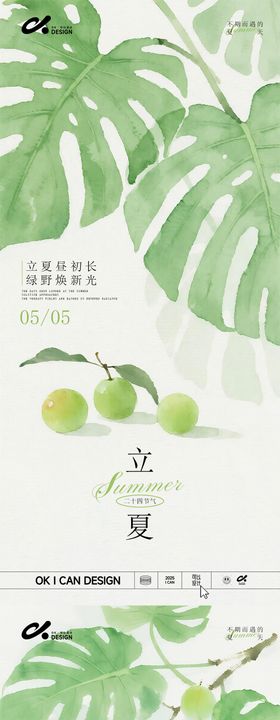 清新手绘立夏海报