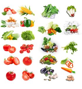 多样新鲜蔬菜大集合