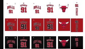 公牛91号RODMAN