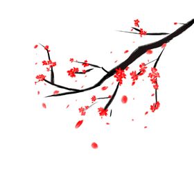 梅花素材