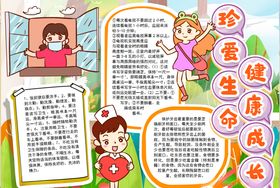 健康小报