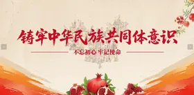 铸牢中华民族共同体意识