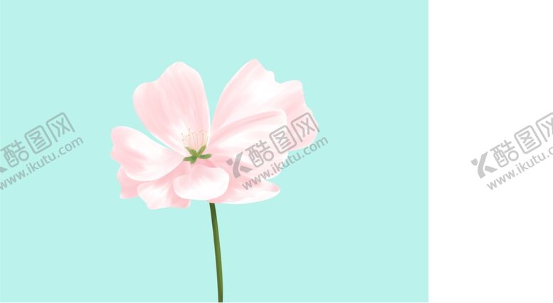 编号：35145707022356061621【酷图网】源文件下载-花朵