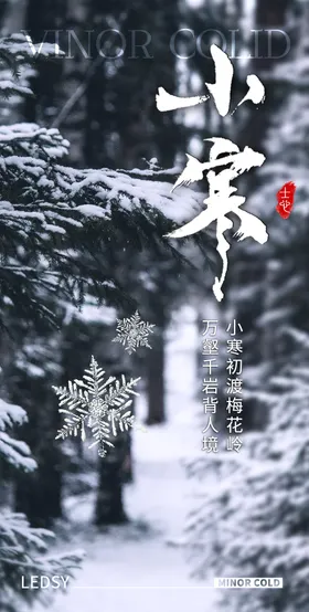小寒海报