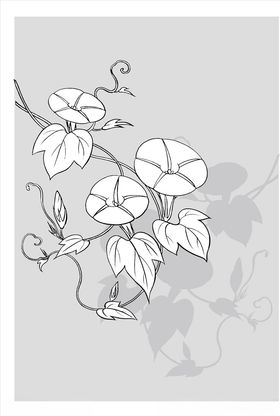 线描花朵