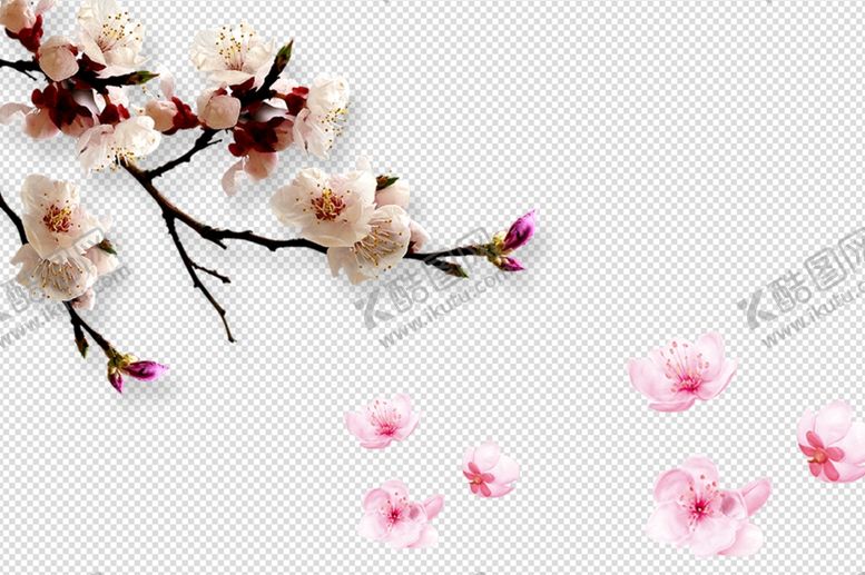 编号：65709009191609416097【酷图网】源文件下载-桃花桃花花枝花开花瓣