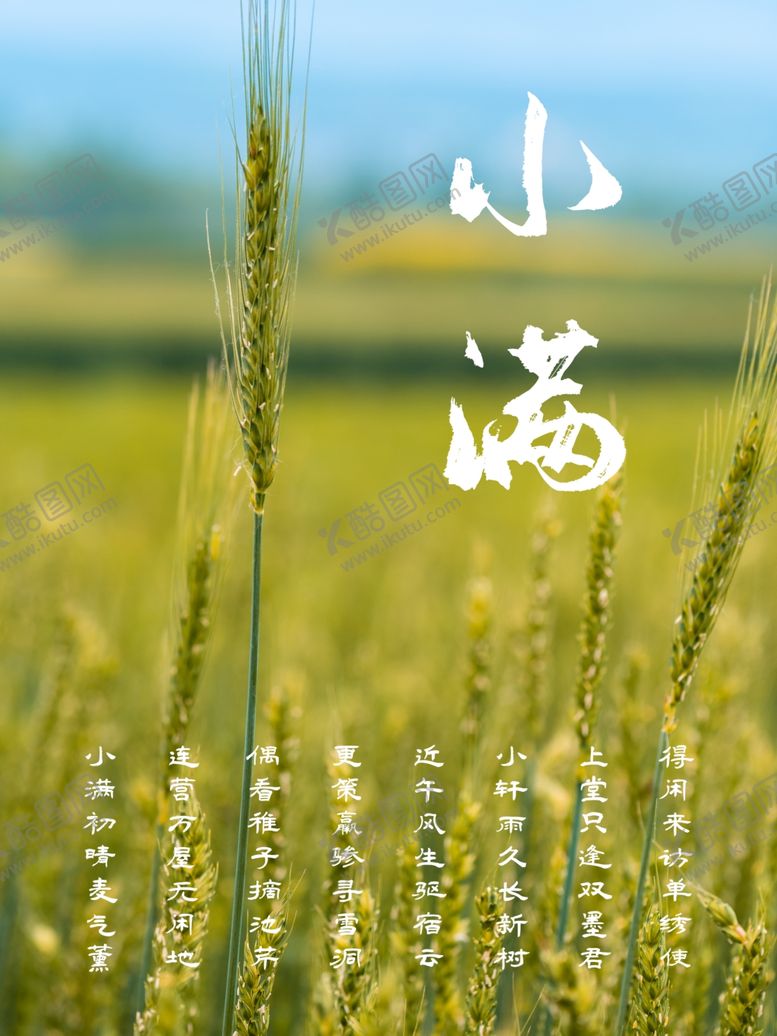 编号：46412909242102578422【酷图网】源文件下载-小满二十四节气海报