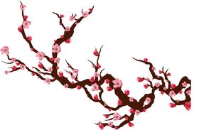 中国风水墨梅