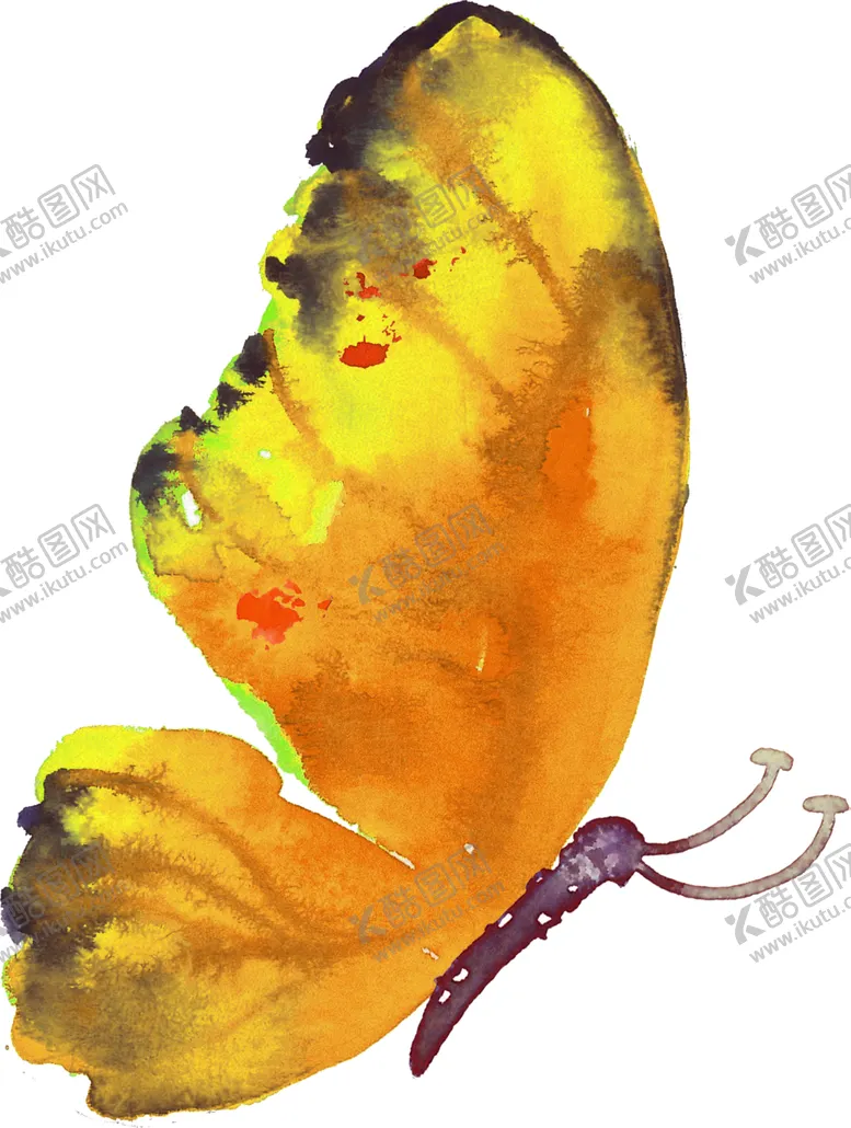 编号：57848301301400572443【酷图网】源文件下载-蝴蝶