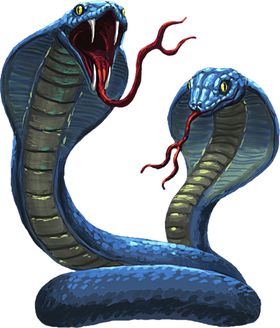 眼镜蛇