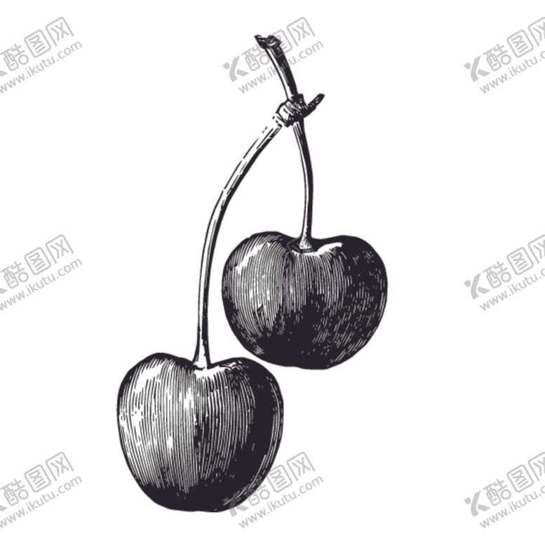 编号：14202607130048291335【酷图网】源文件下载-水果绘画线稿图案