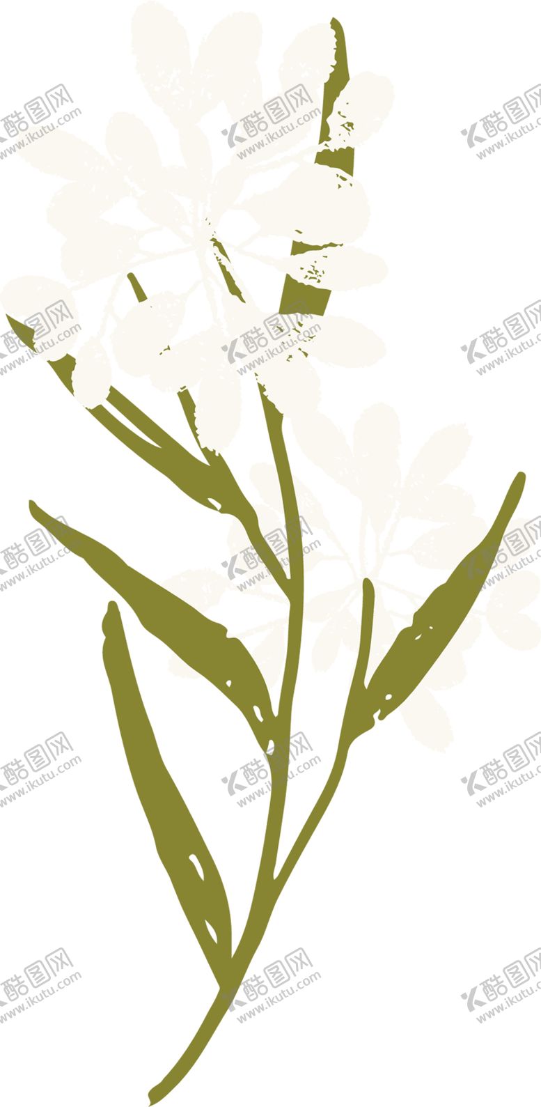编号：16070306262259018012【酷图网】源文件下载-手绘植物