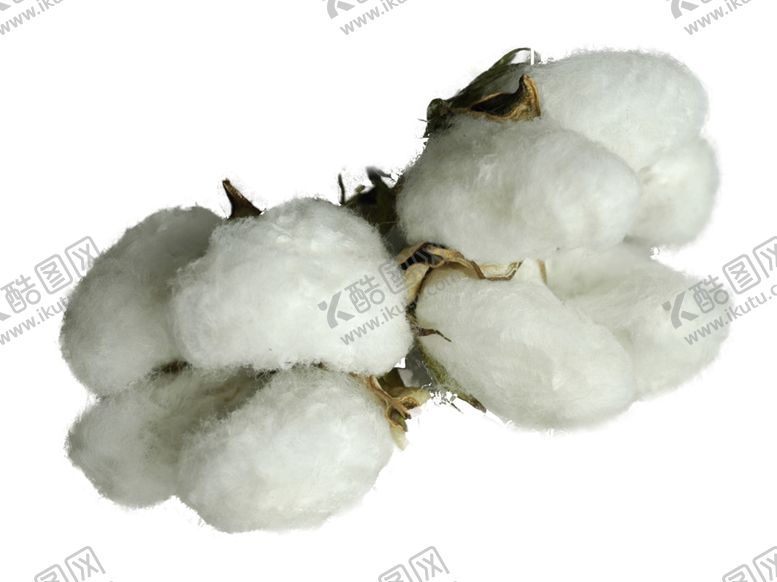 编号：68432109092131483236【酷图网】源文件下载-棉花图