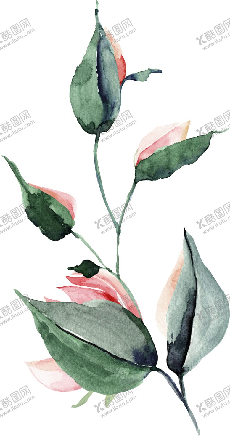 编号：22019710090015519134【酷图网】源文件下载-欧式彩绘植物