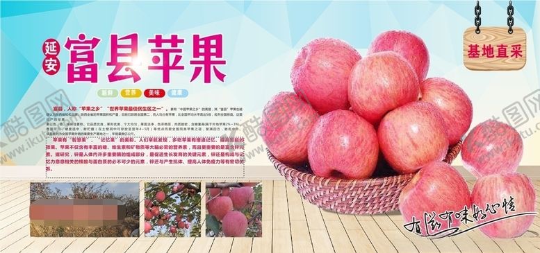 编号：31326206172138419200【酷图网】源文件下载-富县苹果
