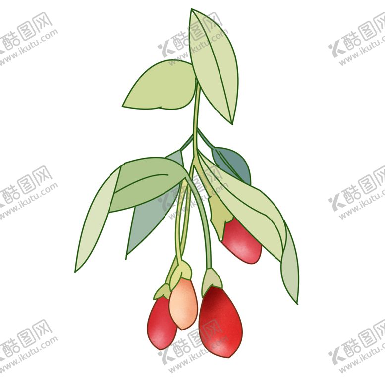 编号：74869410101332342000【酷图网】源文件下载-手绘一支枸杞