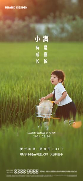 小满节气海报