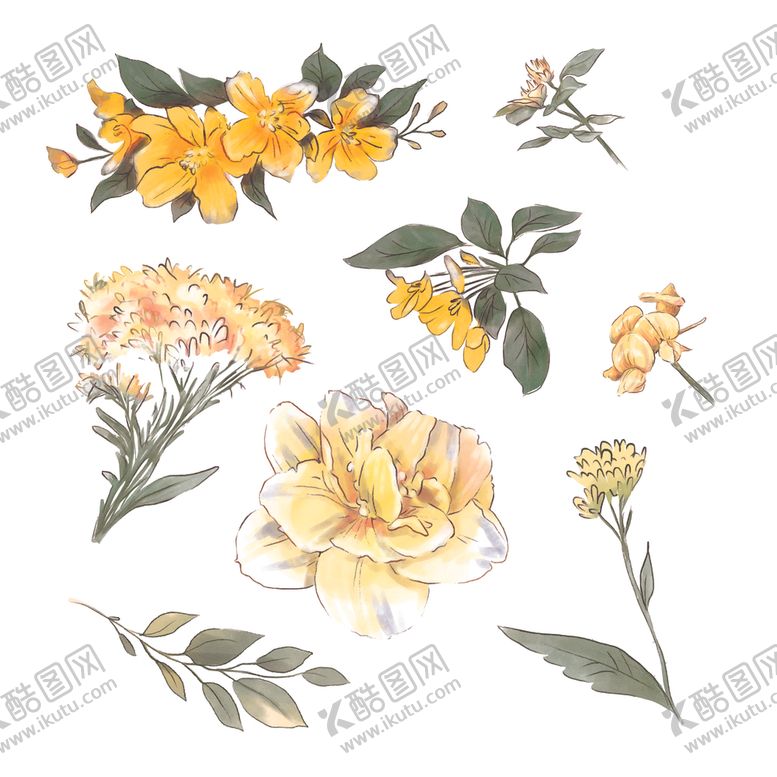 编号：13798610251236564611【酷图网】源文件下载-手绘鲜花