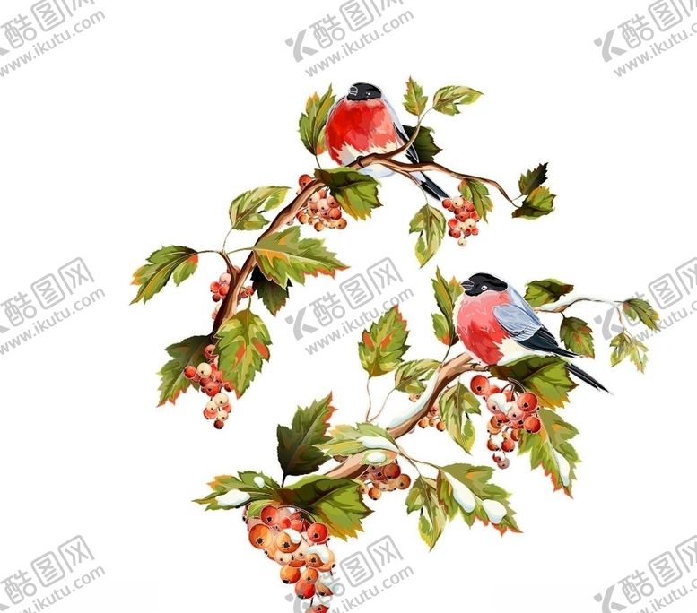 编号：24640509241922296657【酷图网】源文件下载-鸟矢量图