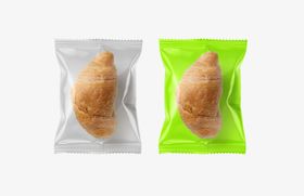 袋子样机办公商业公司vi效果图